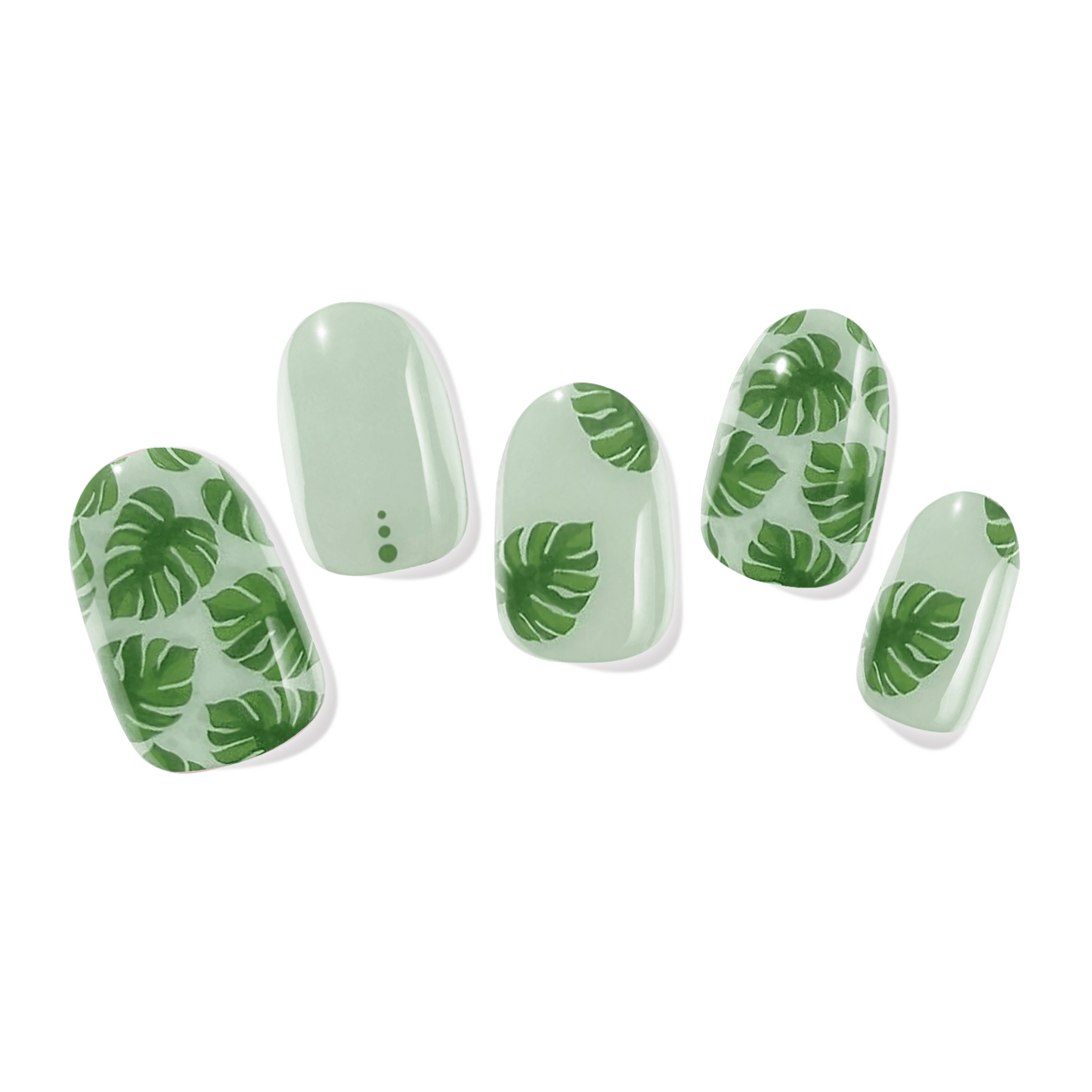 Monstera Magic