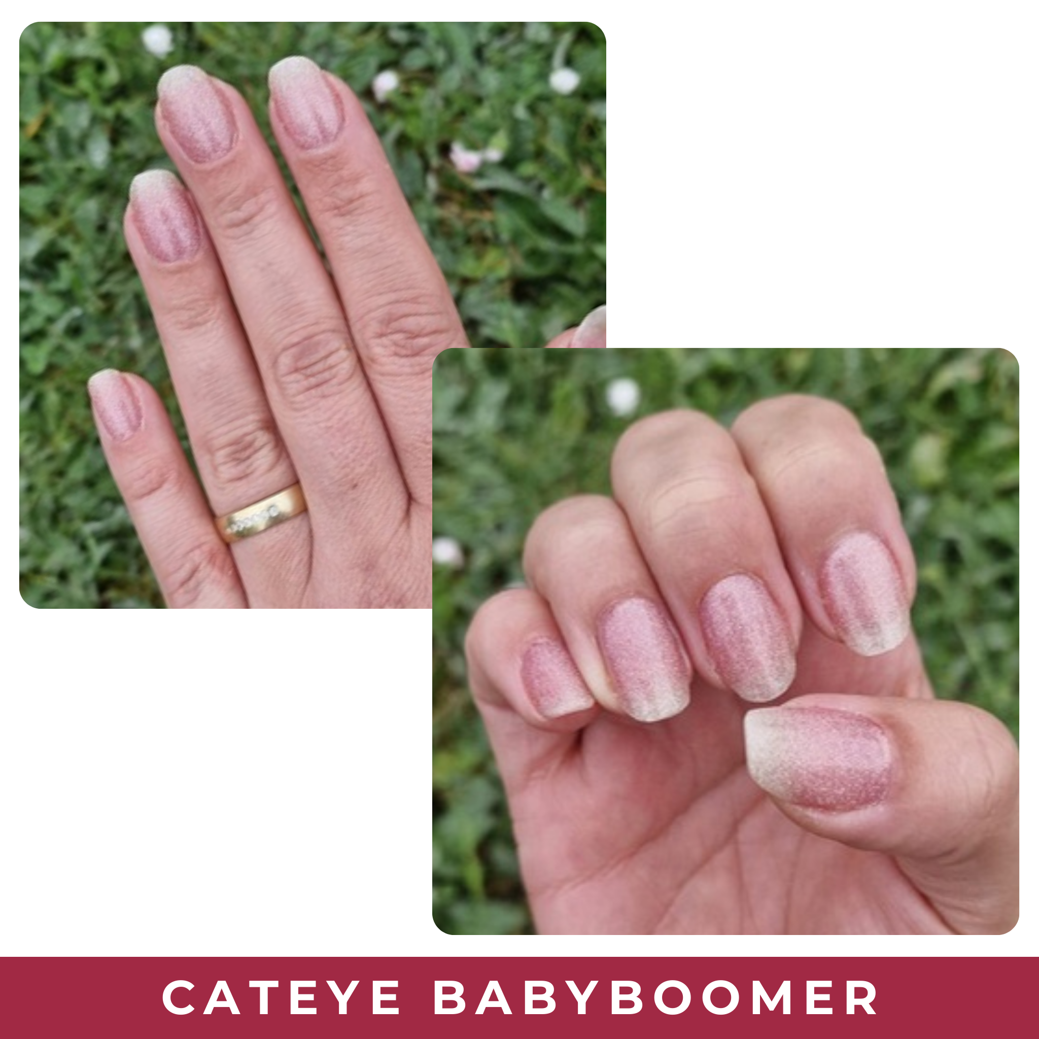 Cateye Babyboomer