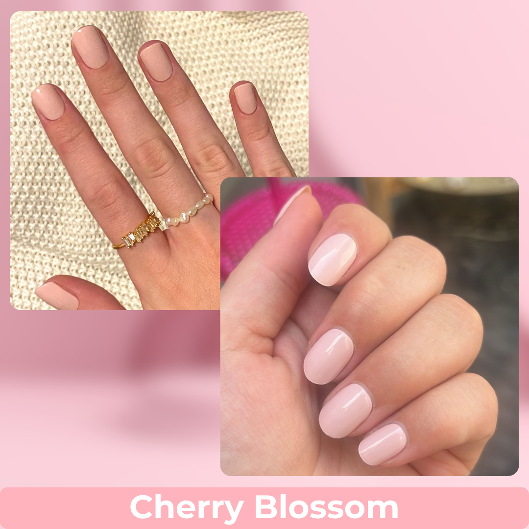 Cherry Blossom