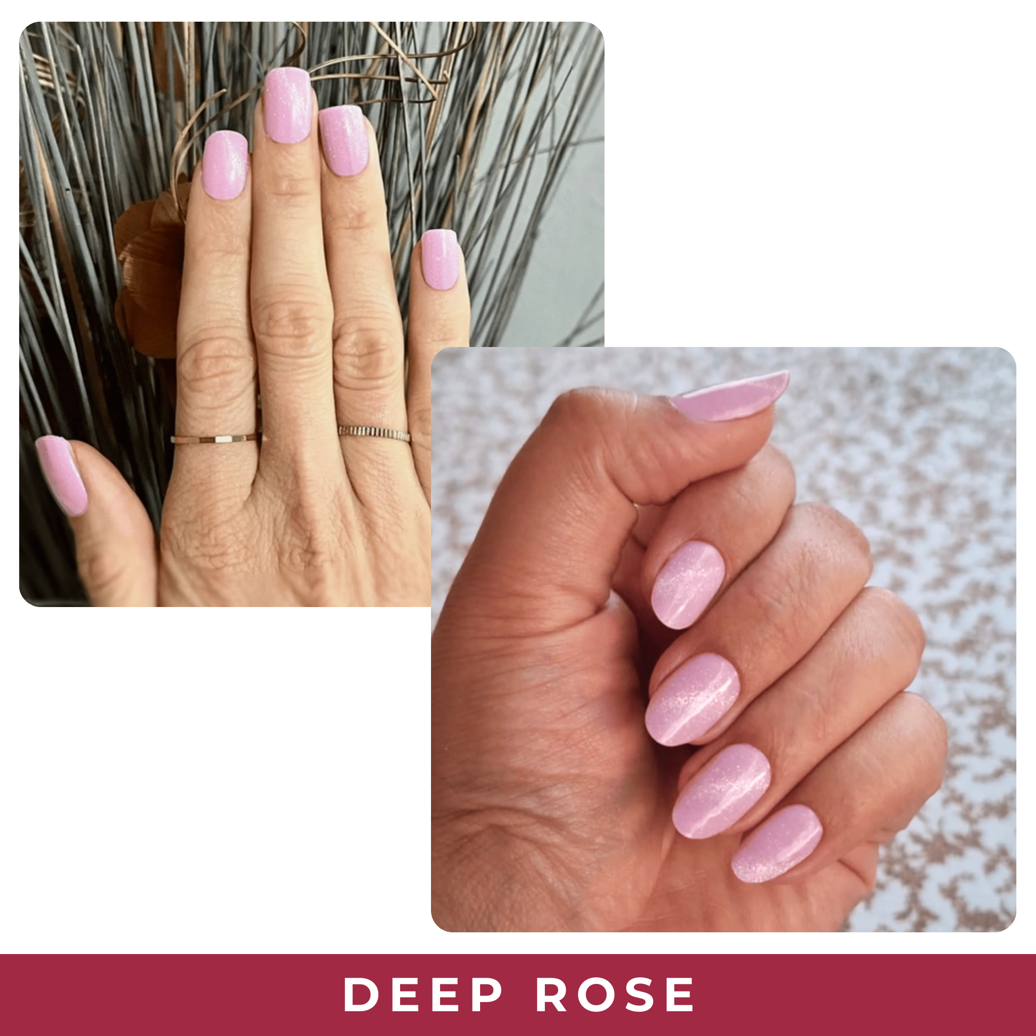 Deep Rose