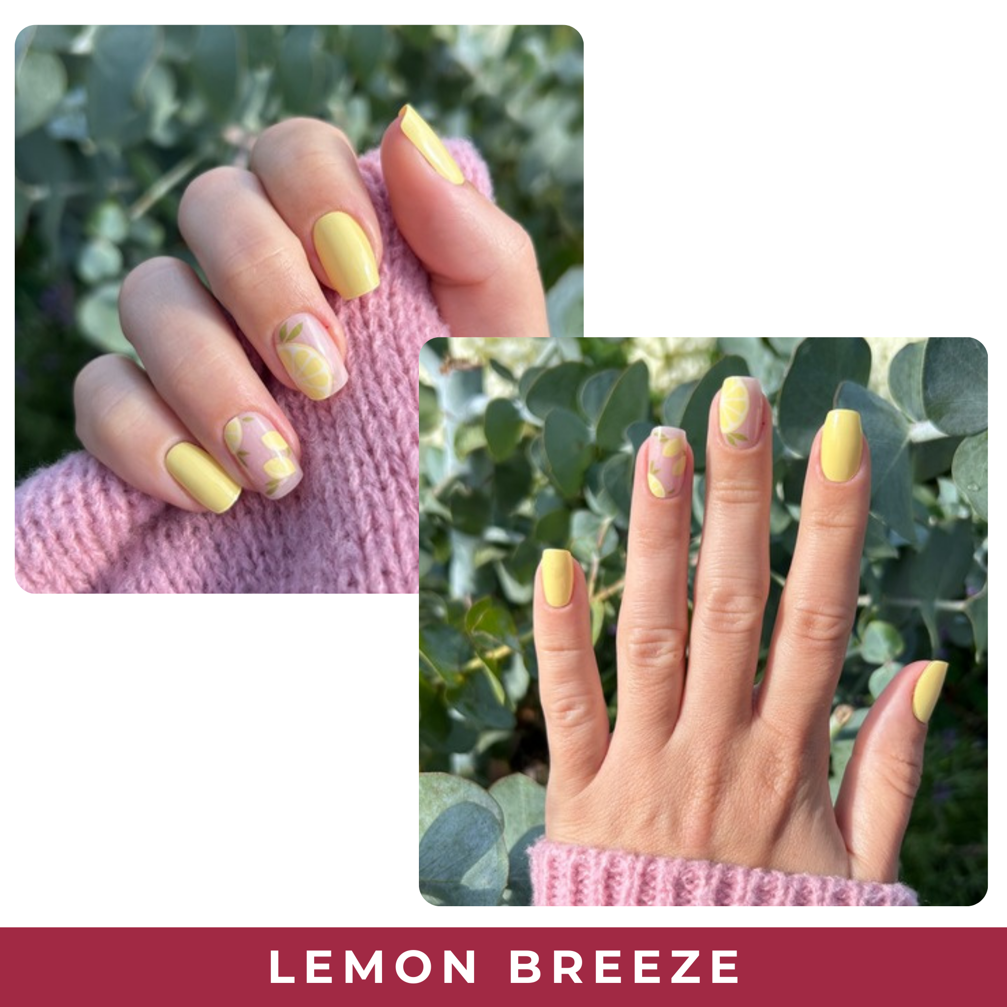 Lemon Breeze