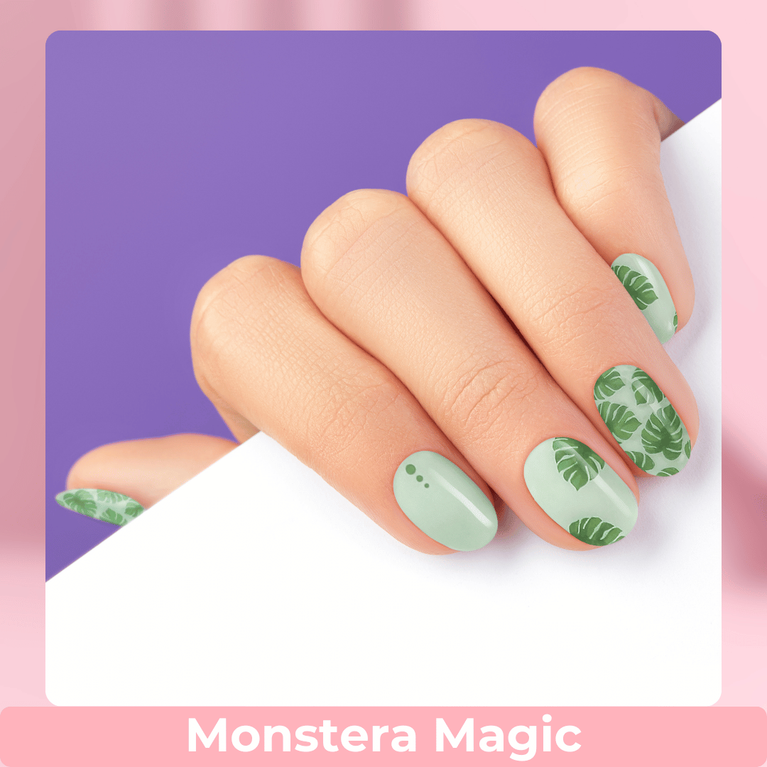 Monstera Magic
