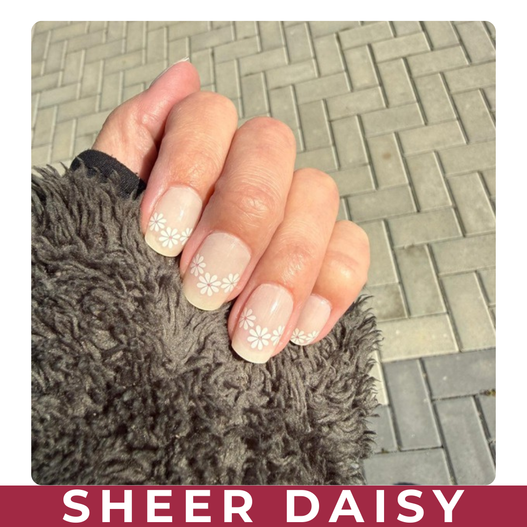 Sheer Daisy