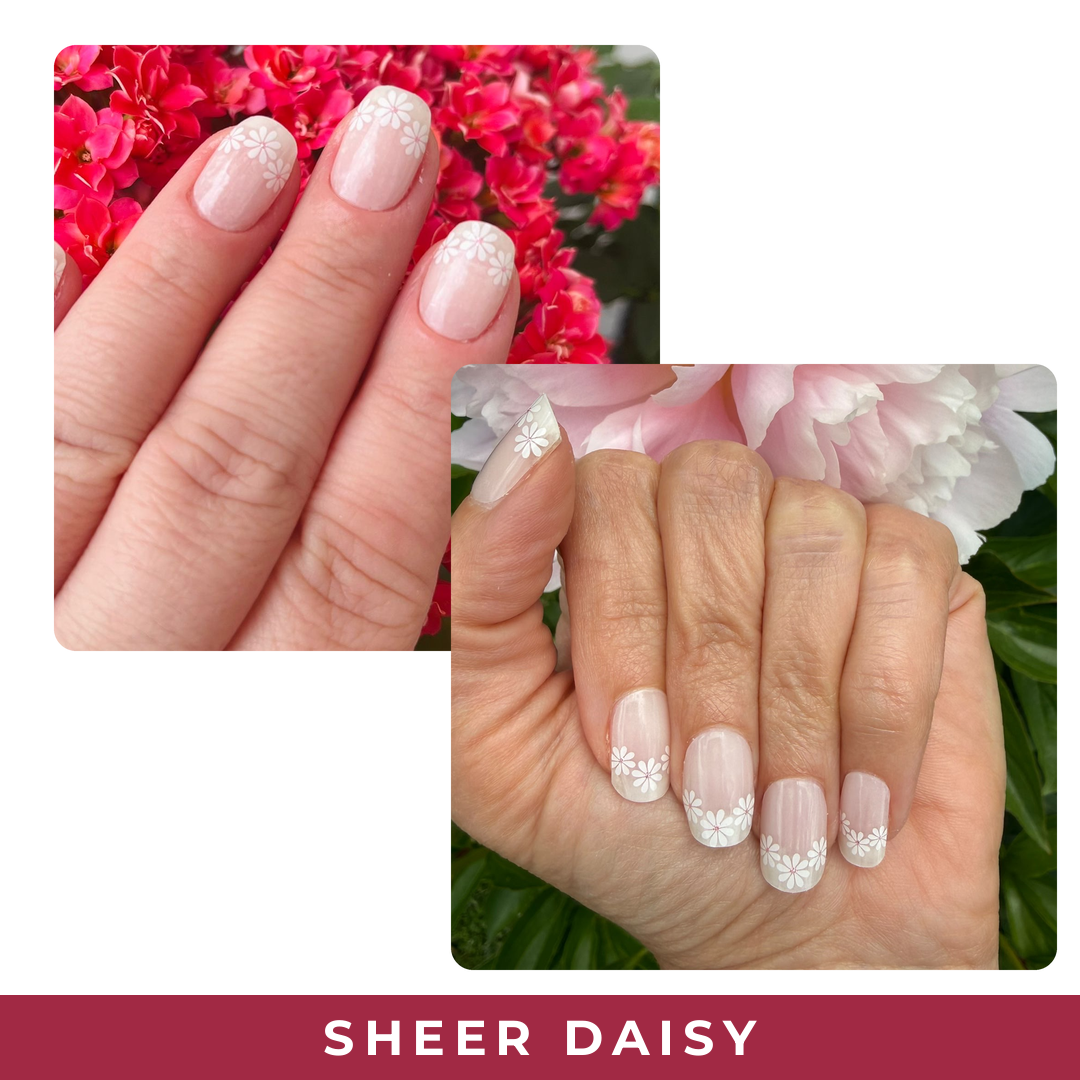 Sheer Daisy