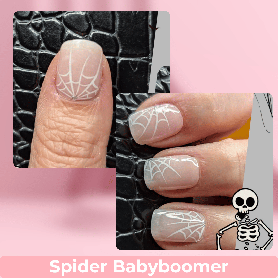 Spider Babyboomer