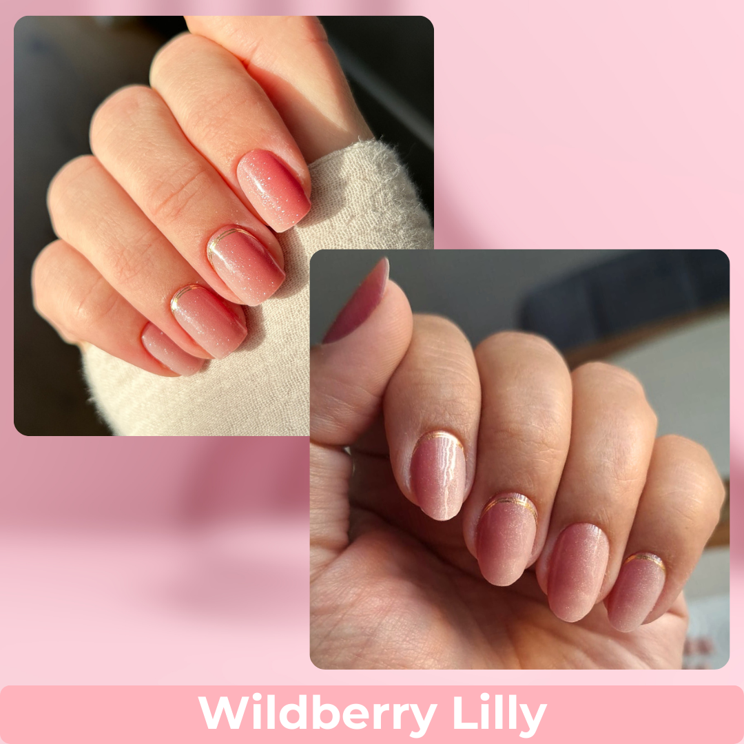 Wildberry Lilly