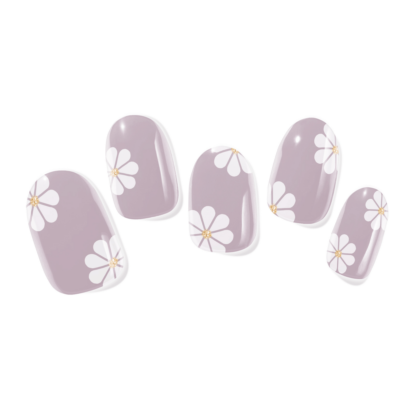 Dear Daisy