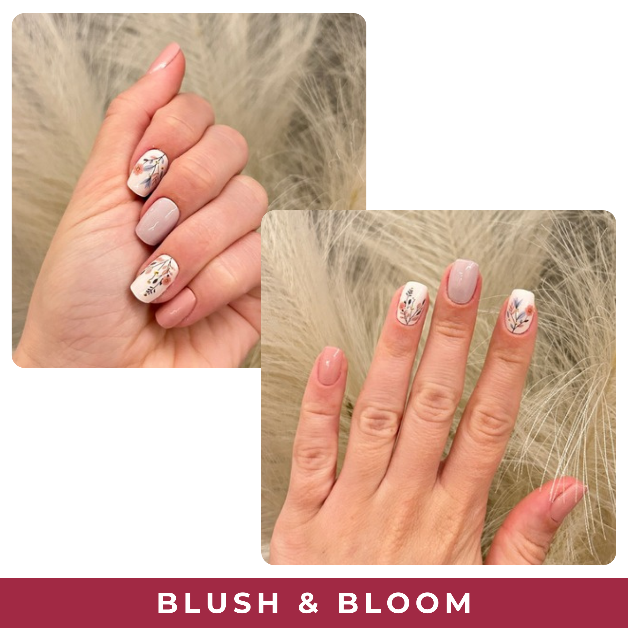 Blush & Bloom