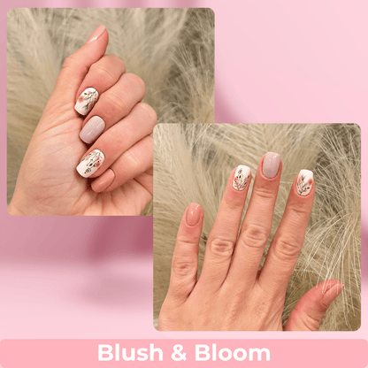 Blush & Bloom