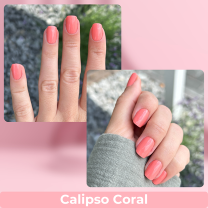 Calipso Coral