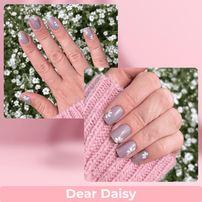 Dear Daisy