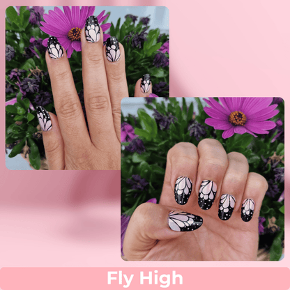 Fly High