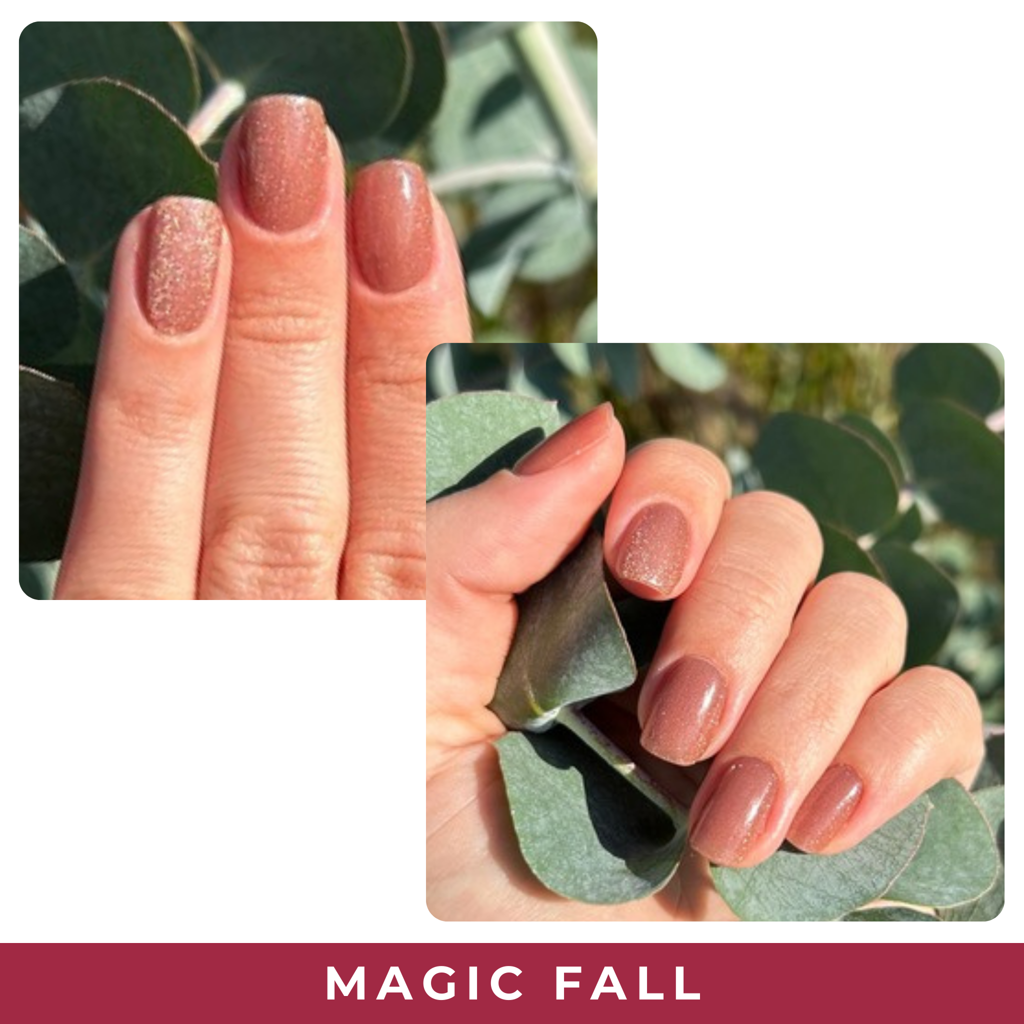 Magic Fall