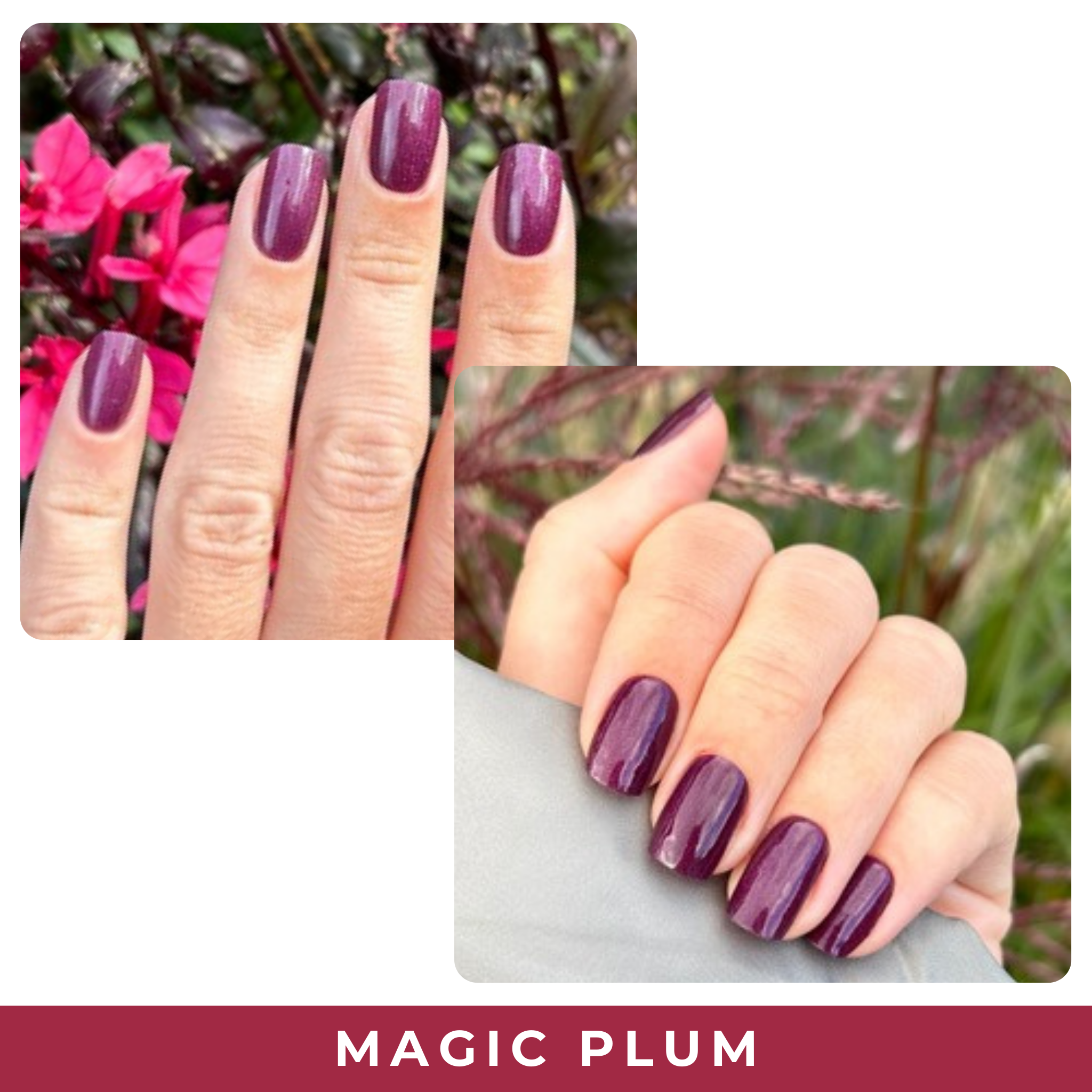 Magic Plum