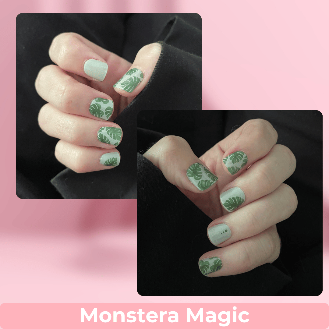 Monstera Magic
