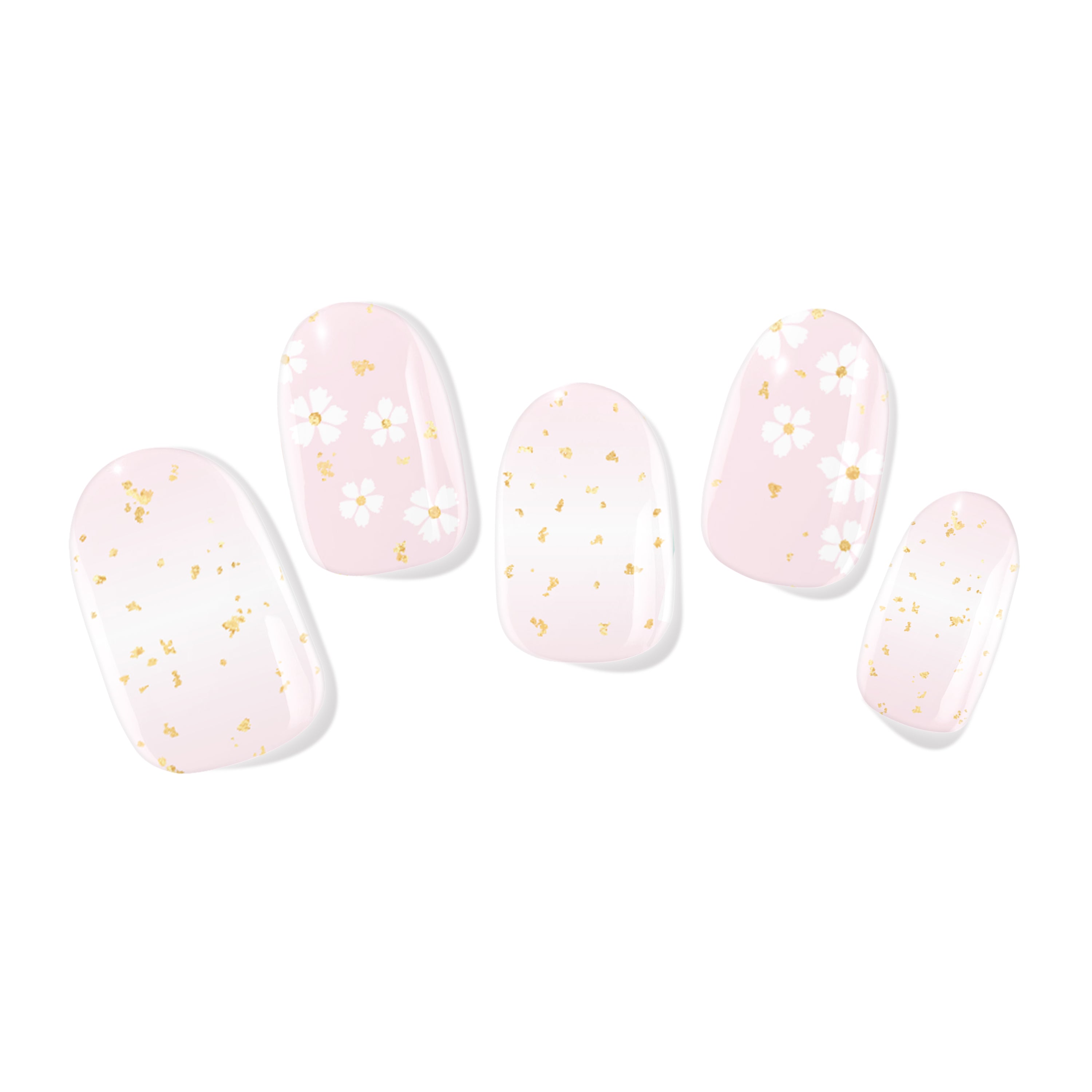 Daisy Dust