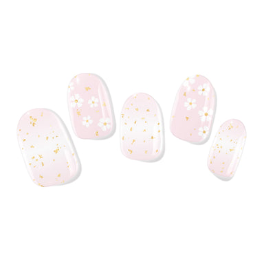 Daisy Dust