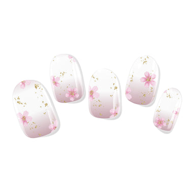 Blossom Babyboomer