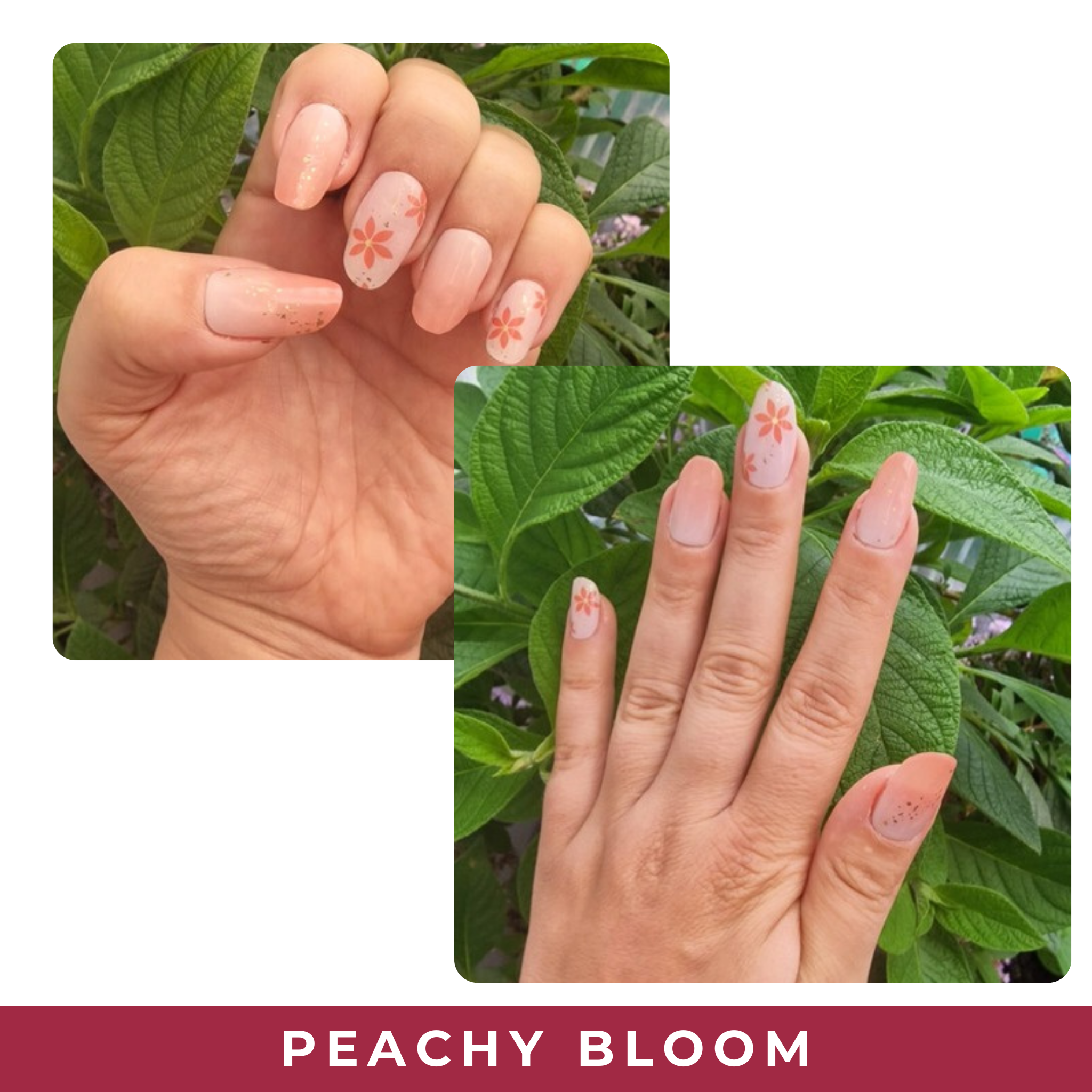 Peachy Bloom