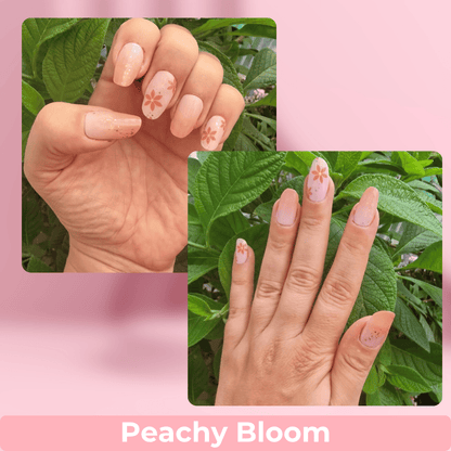 Peachy Bloom