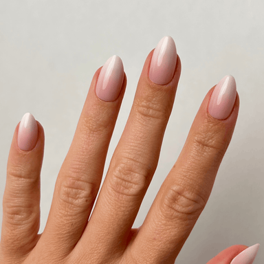 Rose Babyboomer