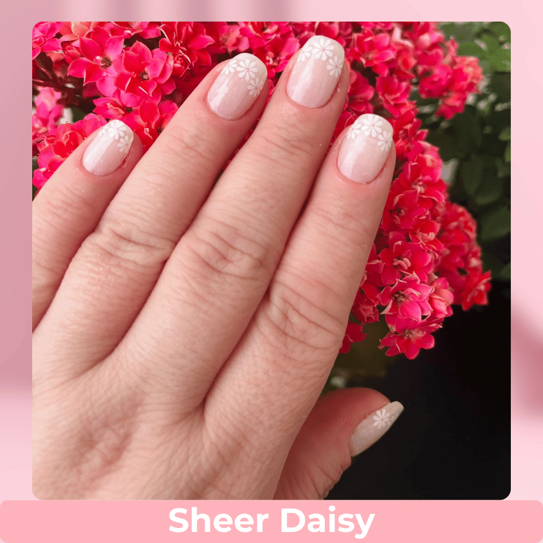 Sheer Daisy